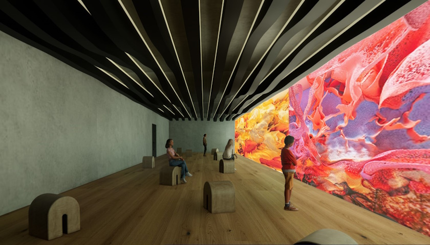 digital rendering of a design for a museum exhibit gallery with a bold full-wall installation on the right contrasted with a gray wall on the left