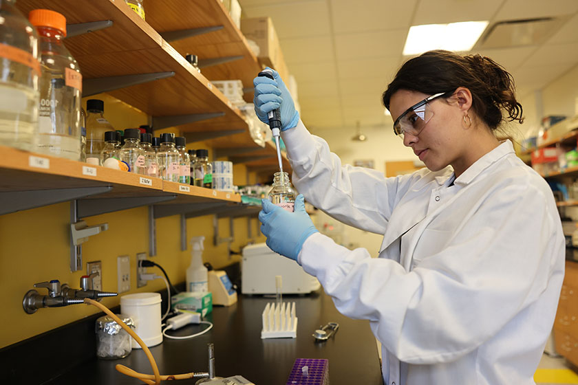 At Suffolk, you can put your laboratory techniques to the test working with faculty on cutting-edge research.  