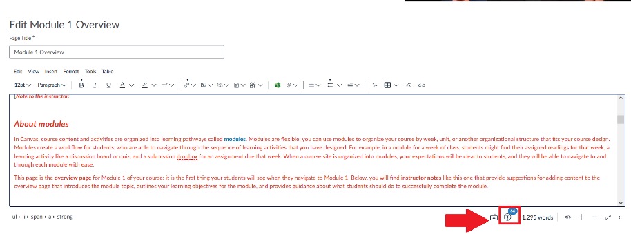The accessibility checker is located directly beneath the rich content editor.