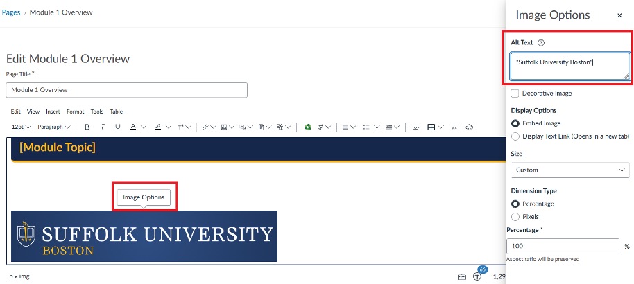 an alt text input box with the text "Suffolk University Boston"
