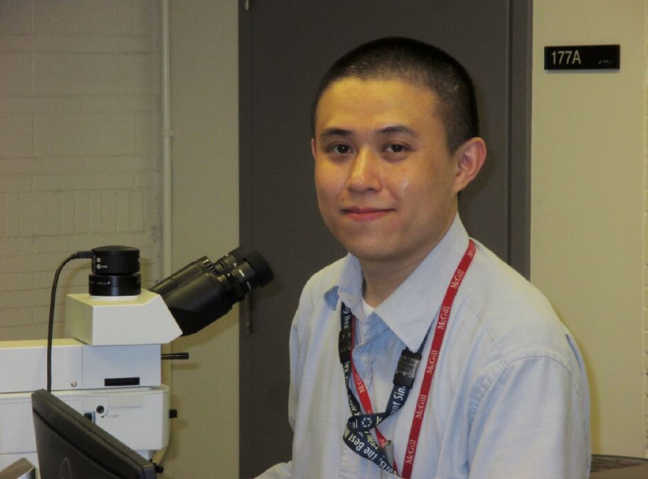 Yiqing Lu Profile photo