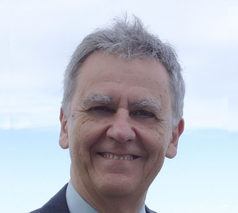 Faculty Portrait of Dr. Dan Stefanescu