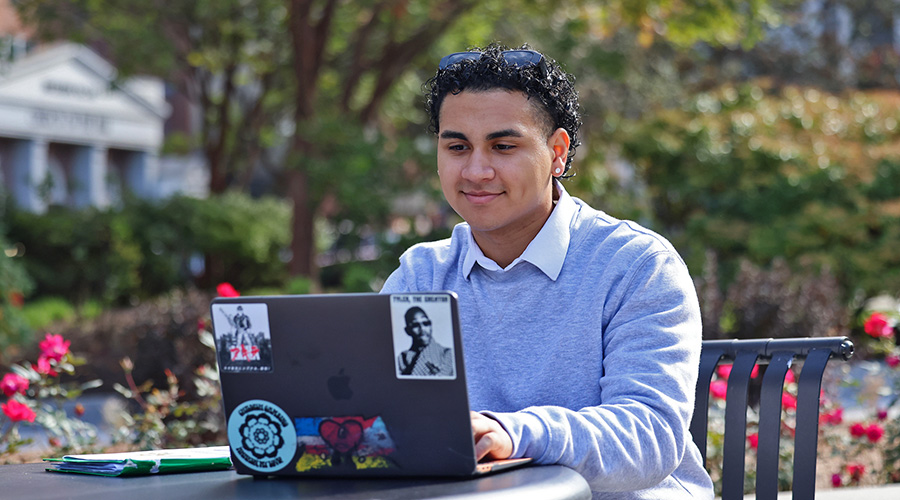 A Suffolk student on his laptop in the Boston Public Gardens.