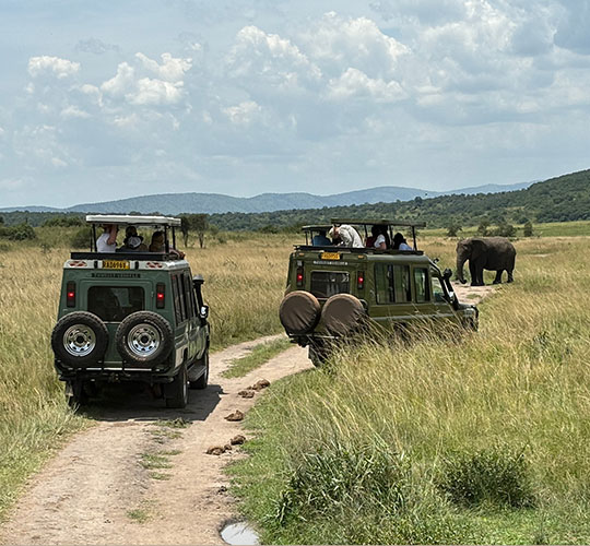 Jeeps driving across a field