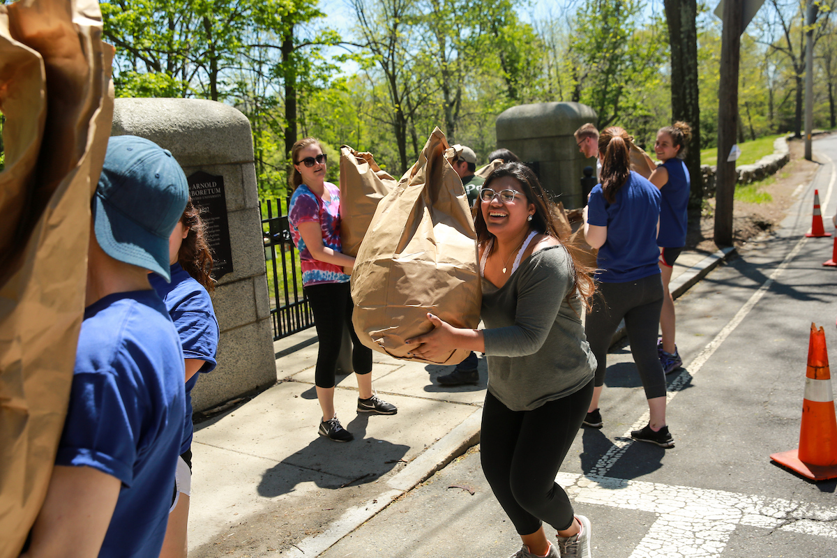 Suffolk University Senior Service Day at Bussey Brook Meadow in Jamaica Plain, Boston
