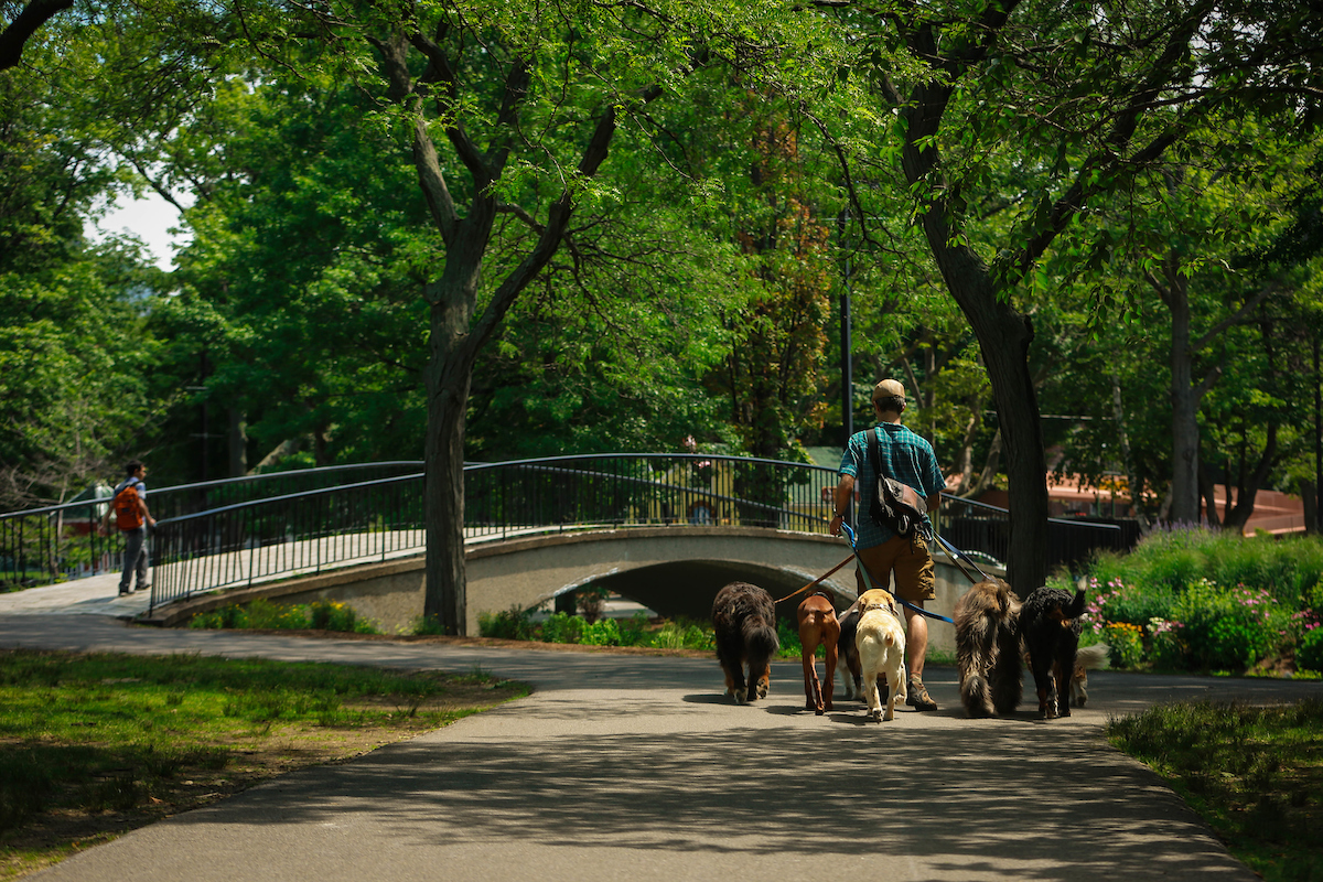 A leisurely stroll along the Esplanade and Charles River in Boston