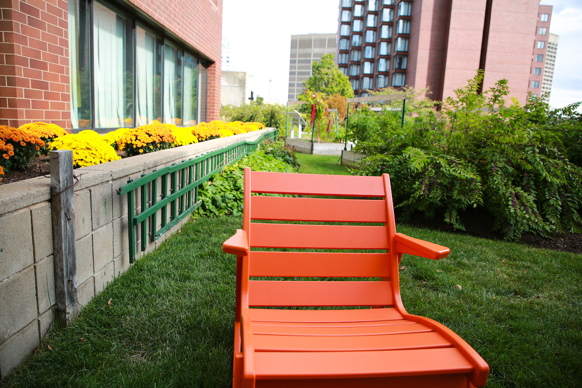 Suffolk students visit the Kendall Square Rooftop Garden in Cambridge