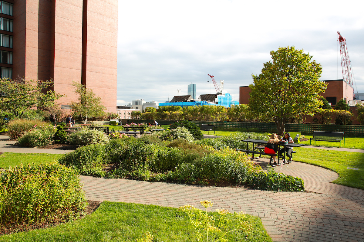Suffolk students visit the Kendall Square Rooftop Garden in Cambridge