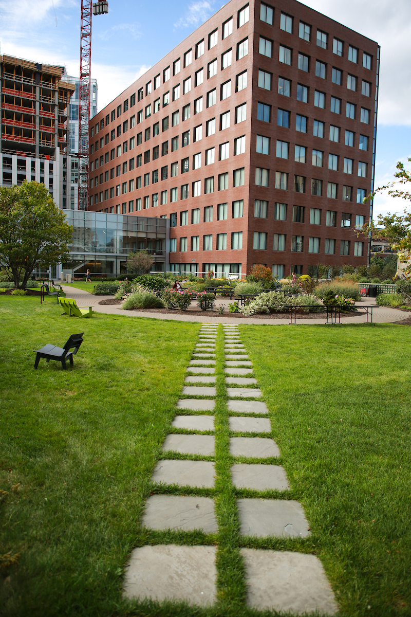 Suffolk students visit the Kendall Square Rooftop Garden in Cambridge