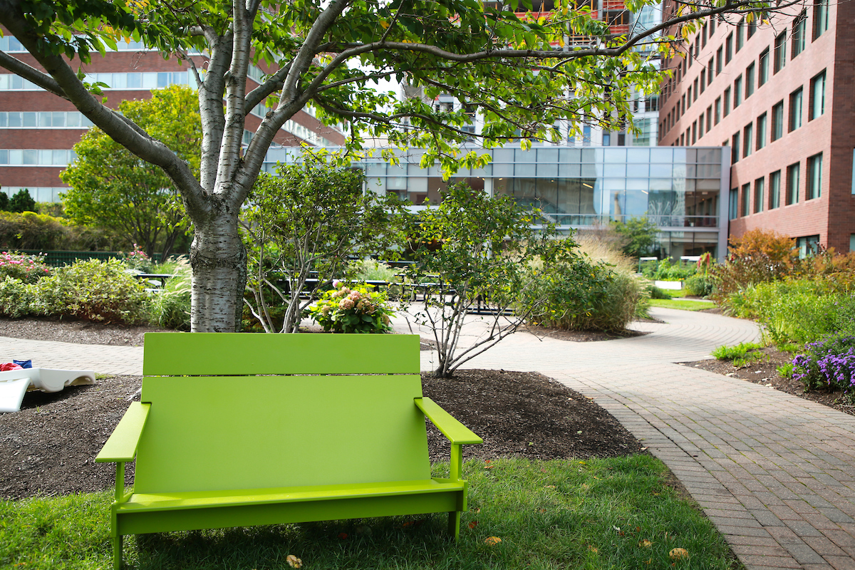 Suffolk students visit the Kendall Square Rooftop Garden in Cambridge