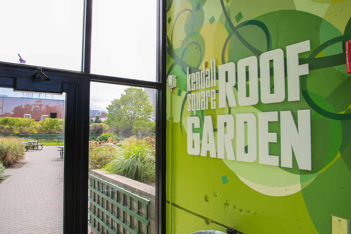 Suffolk students visit the Kendall Square Rooftop Garden in Cambridge