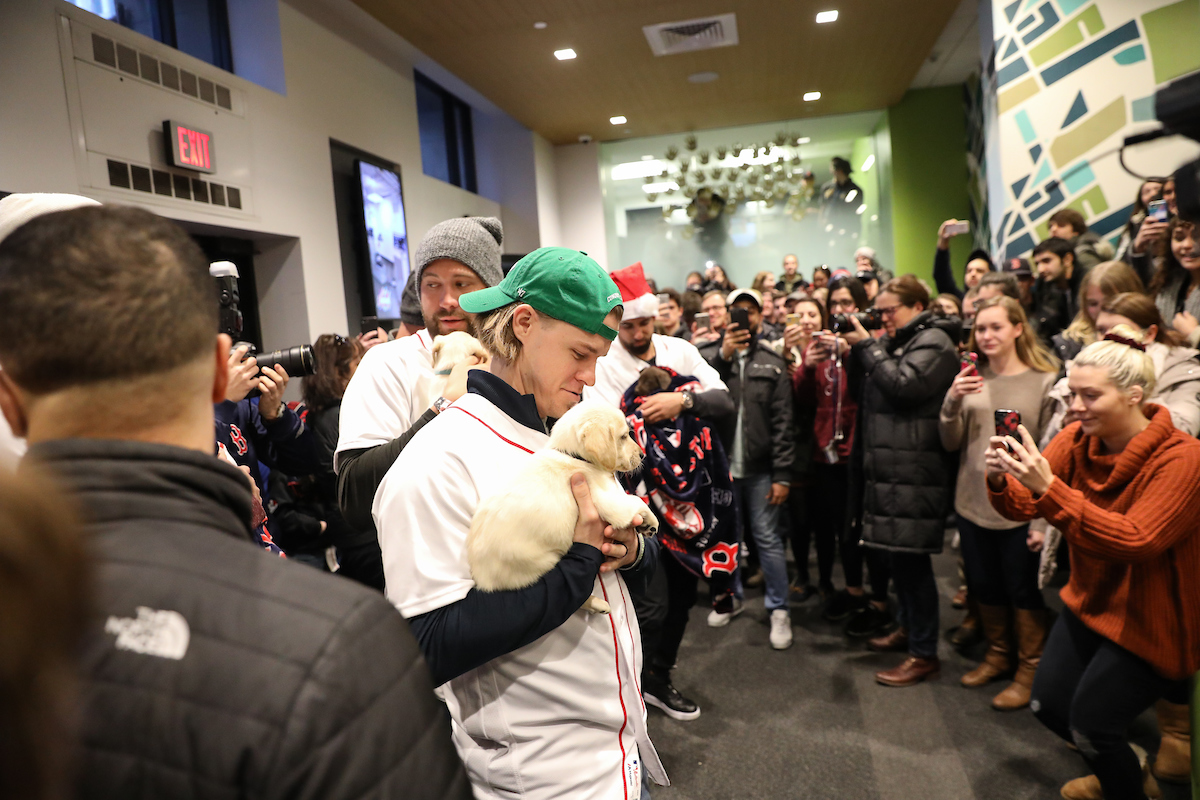 The Boston Red Sox visited Suffolk students with puppies the day before final exams begin.