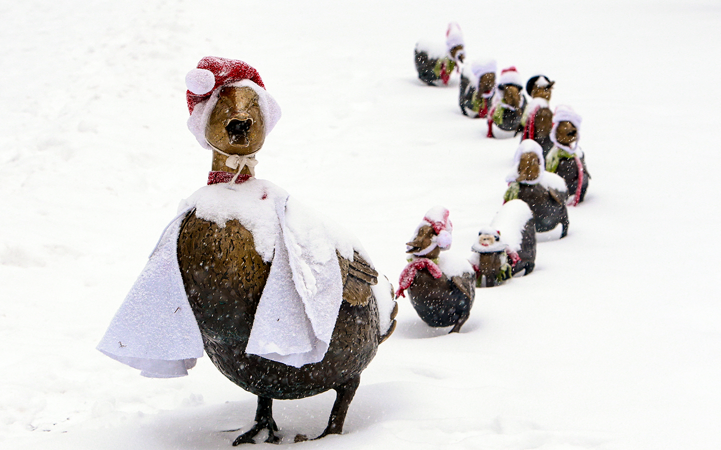 The Iconic "Make Way For Ducklings" statues are all dressed up for the cold
