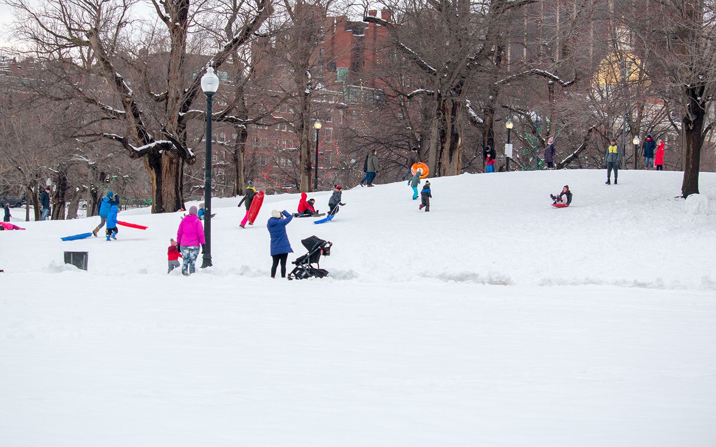 Groups of Children (and Students!) sledding on the Common