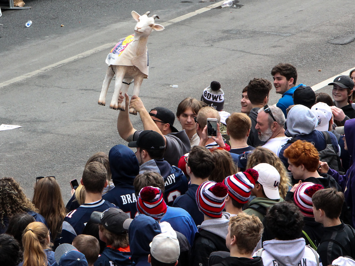 Student holding a goat in honor of the GOAT, Tom Brady at the Patriots Parade.