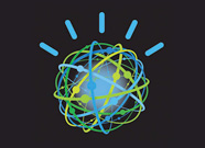IBM's Watson avatar