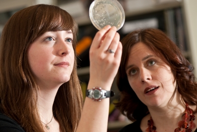 Two people looking at a petri dish
