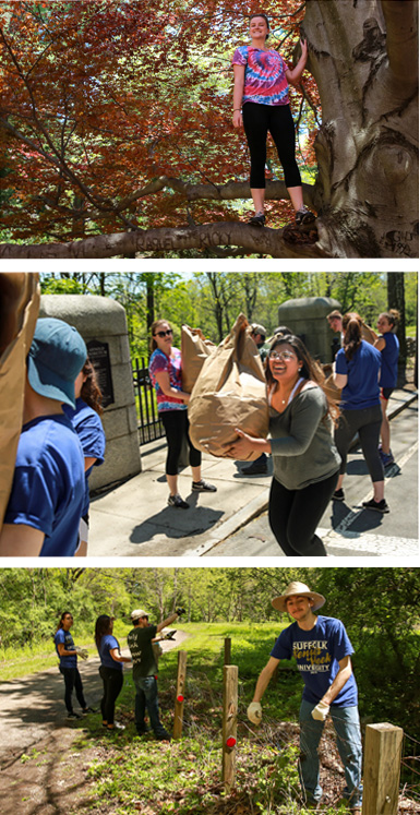 Photos of students working