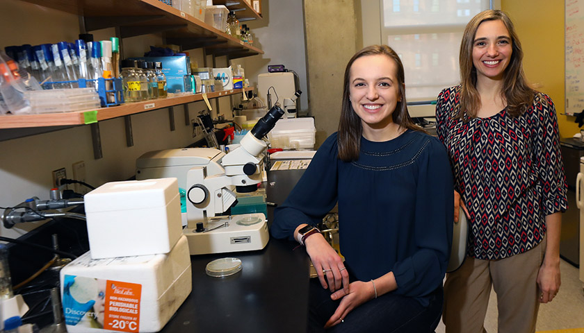 Lily Johnsky and Professor Annette McGehee in the lab, with microscope and test tubes