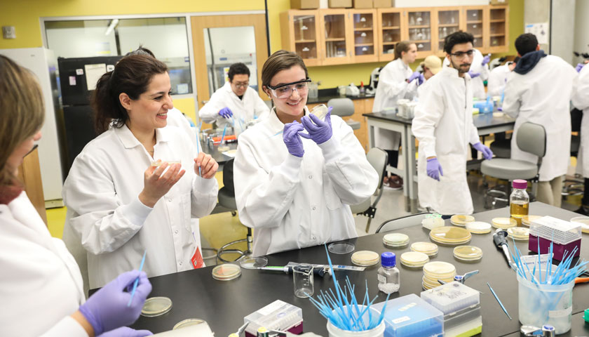 Student and professor in a lab creating bacteria art