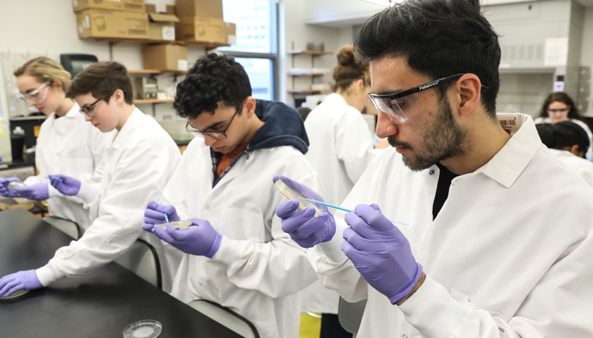 Student concentrates on his applying a detail of his artwork onto a petri dish