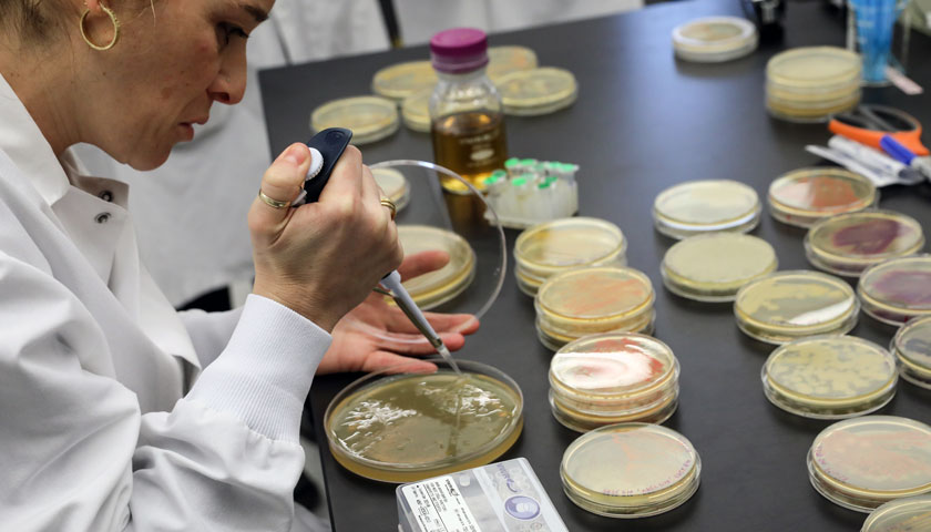 Artist pipetting a petri dish with colorful bacteria