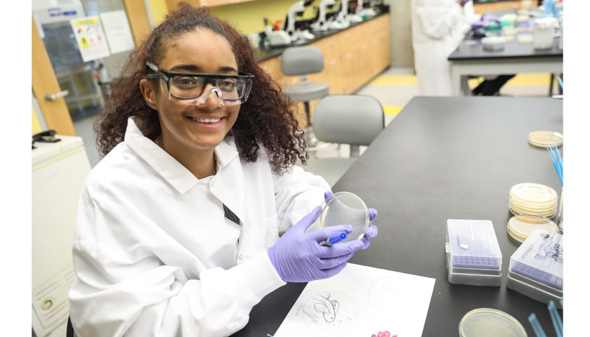 Student sketches on paper and then on her petri dish