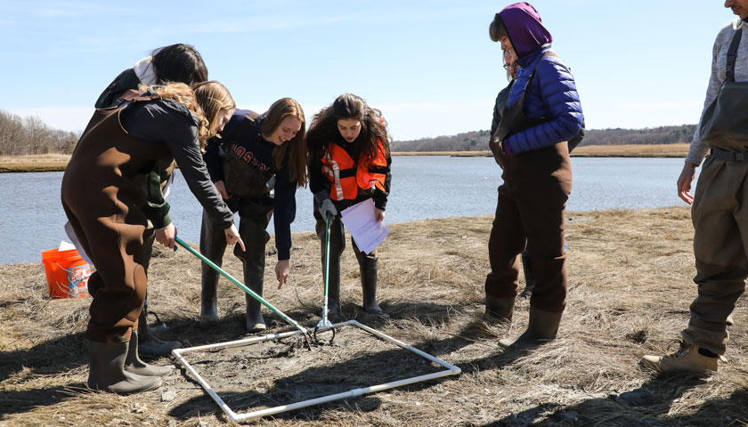 group records and picks up trash at the marsh