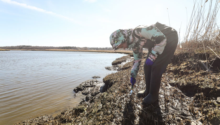 student takes a water sample at the marsh's edge