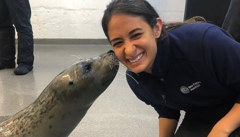 Close-up photo of New England Aquarium seal kissing volunteer Tatiana Vasquez