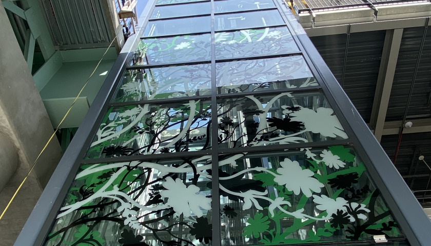 The glass elevator shaft at Lechmere station is adorned with images of plant and bird silhouettes
