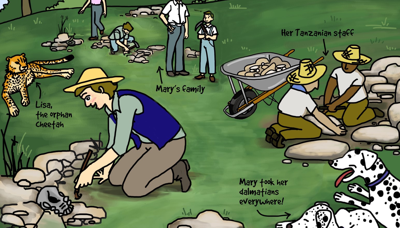 Illustration of paleontologist Mary Leakey unearthing a fossil during a dig in Tanzania alongside her loyal Dalmation dogs