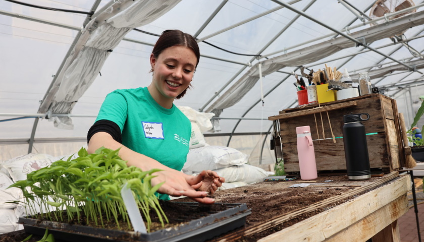 Student in a blue service day shirt tends seedlings in a greenhouse