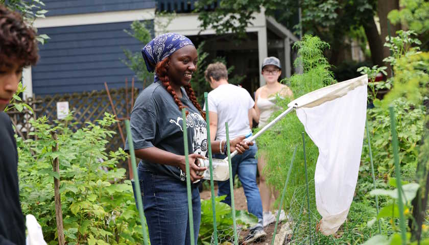 Farida Mintouba holds a large butterfly net as she stands amid tall plants in a garden looking for bees