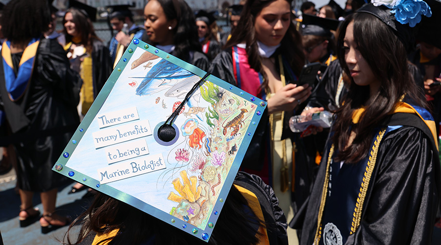 A marine biology student's cap decorated with sea life at Commencement.