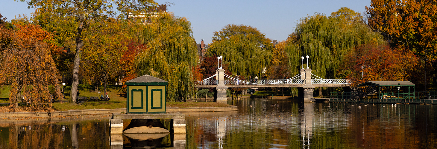 A bridge over the pond in the Boston Public Gardens with autumnal foliage near Suffolk's Downtown Boston Campus.