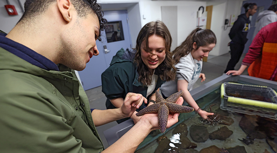 Suffolk students engaging in a hands-on learning experience with a starfish at a marine research lab in Nahant.